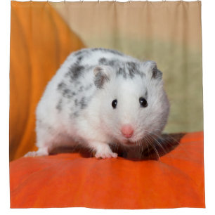 Niedlicher syrischer Hamster-weißes schwarzes Duschvorhang