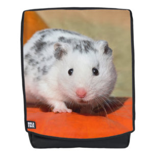 Niedlicher syrischer Hamster-weißes schwarzes Rucksack
