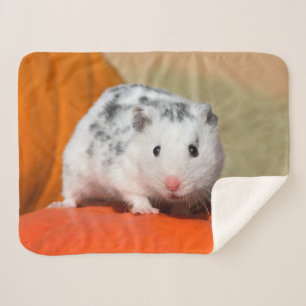 Niedlicher syrischer Hamster weißes schwarzes Sherpadecke