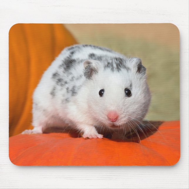 Niedlicher syrischer Hamster White Black Gepunktet Mousepad (Vorne)