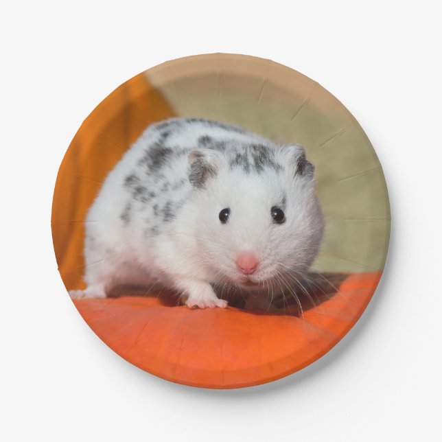 Niedlicher syrischer Hamster White Black Gepunktet Pappteller (Vorderseite)