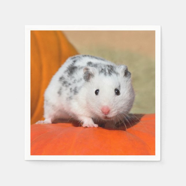 Niedlicher syrischer Hamster White Black Gepunktet Serviette (Vorderseite)