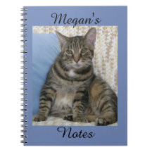 Niedlicher Tabby Cat Foto Personalisiert Name