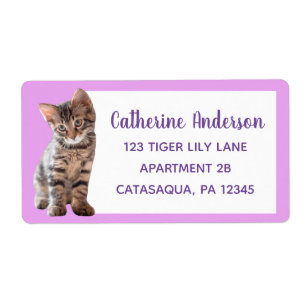 Niedlicher Tabby-Katzen-Kätzchen-Lavendel groß