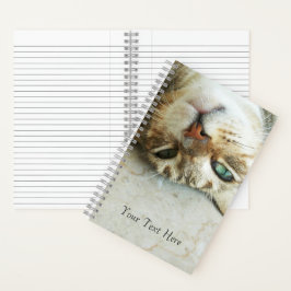 Niedlicher Tabby-Katzensprung Personalisiert Notizbuch