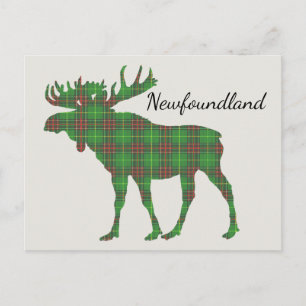 Niedlicher Tartan-Elch Neufundland Postkarte