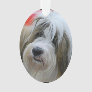 Niedlicher tibetanischer Terrier-Hund Ornament