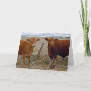 Niedlicher Tierarzt Abschluss Glückwünsche Ranch F Karte