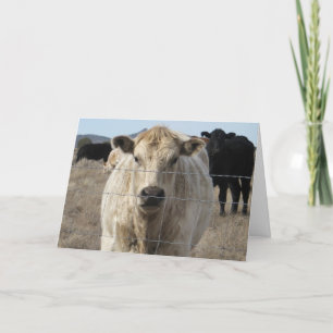 Niedlicher tierärztlicher Glückwunsch Ranch Farm D Karte