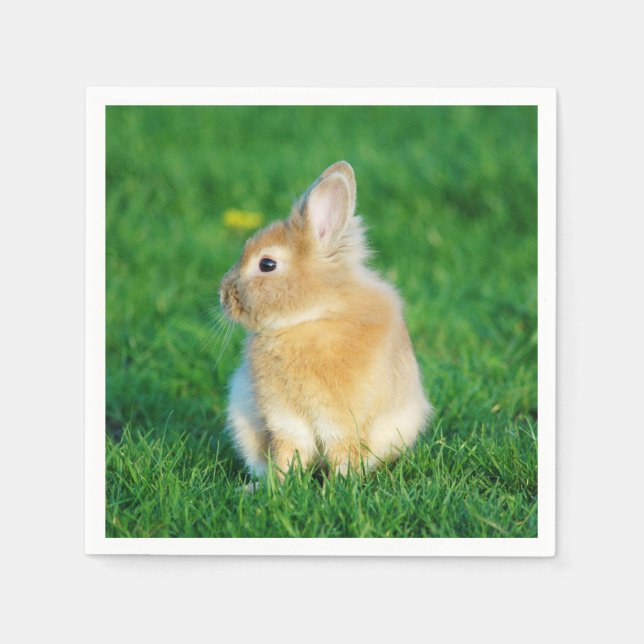 Niedlicher Tiersonnengang im Gras Serviette (Vorderseite)