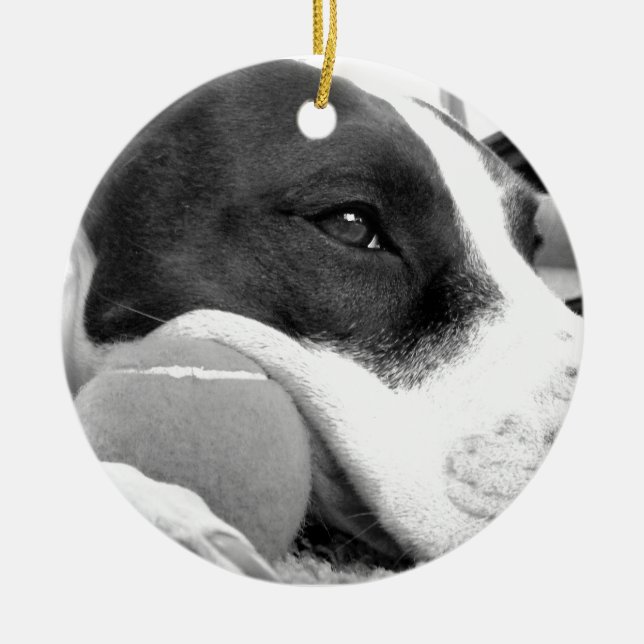 niedlicher, traurig aussehender Pitbulhund Schwarz Keramik Ornament (Vorne)