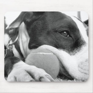 niedlicher, traurig aussehender Pitbulhund Schwarz Mousepad