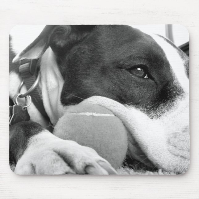 niedlicher, traurig aussehender Pitbulhund Schwarz Mousepad (Vorne)