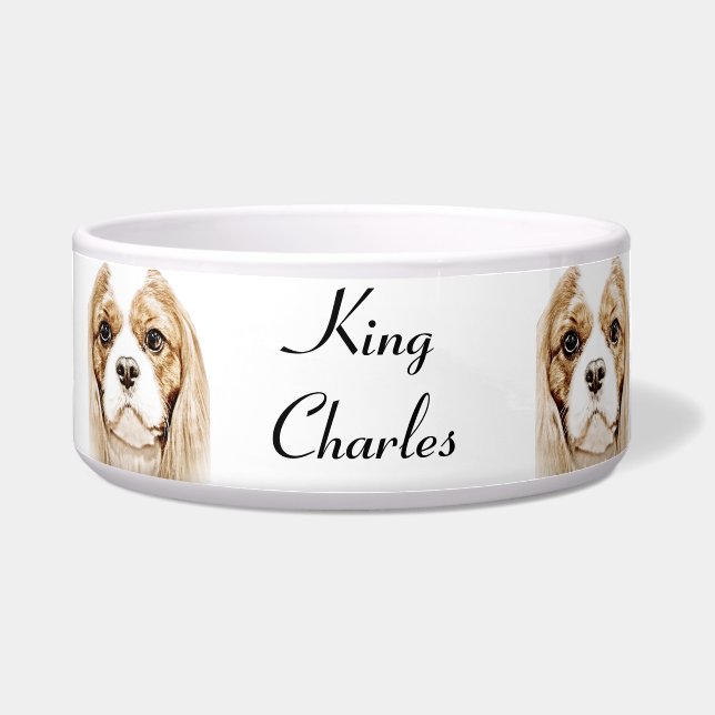 Niedlicher unbekümmerter Königcharles Spaniel Napf (Vorderseite)