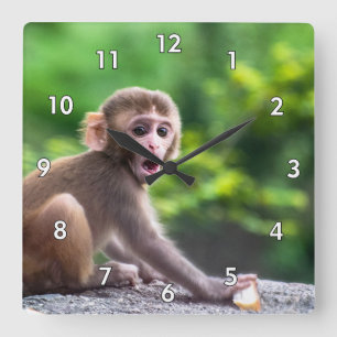 Niedlicher und Adorable-Baby-Affe Quadratische Wanduhr
