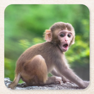 Niedlicher und Adorable-Baby-Affe Rechteckiger Pappuntersetzer