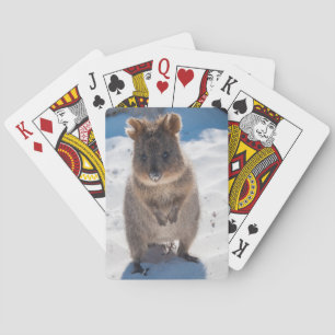Niedlicher und glücklicher Quokka am Strand Austra Spielkarten