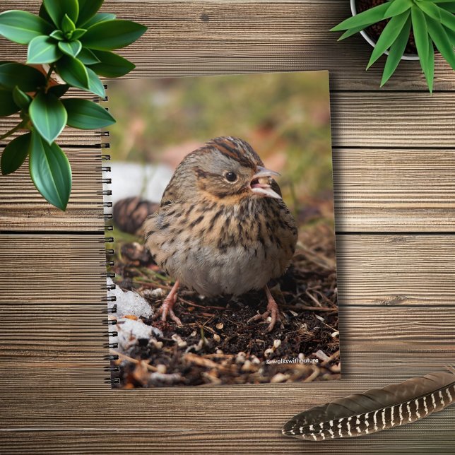 Niedlicher und spunky Lincolns Sparrow Notizblock (Spunky Lincoln's Sparrow in the Snow Journal Cover Photo)
