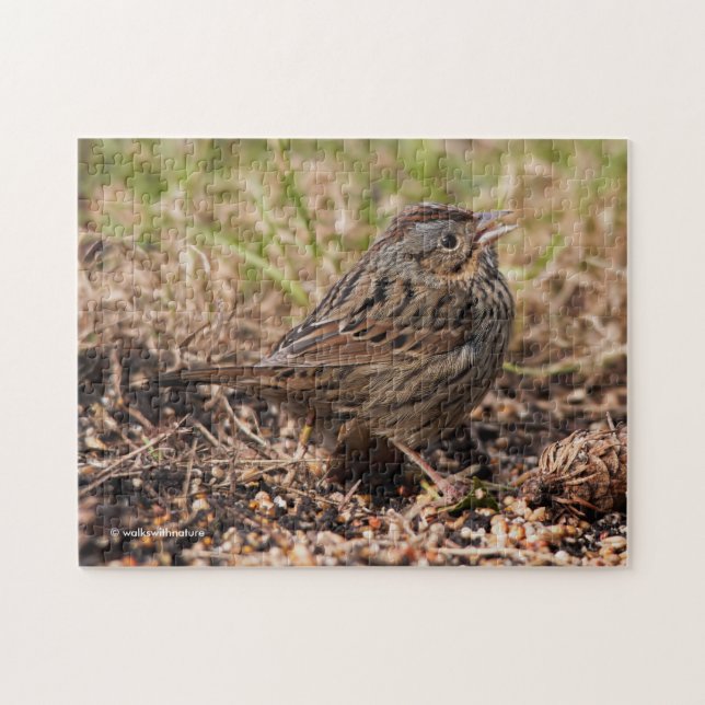Niedlicher und spunky Lincolns Sparrow Puzzle (Horizontal)