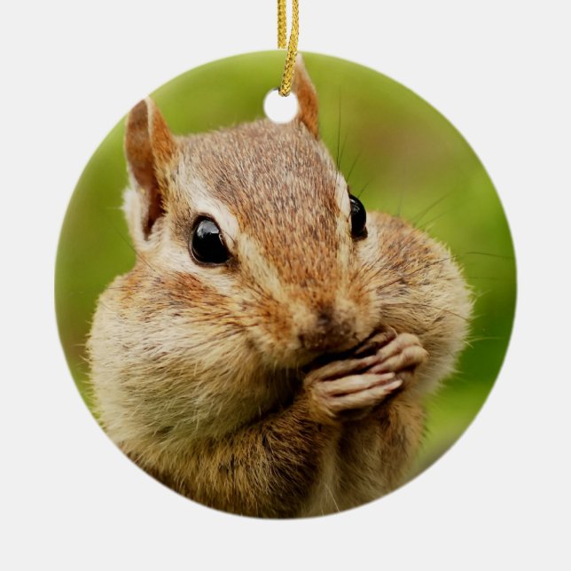 Niedlicher unverschämter Chipmunk Keramik Ornament (Vorne)
