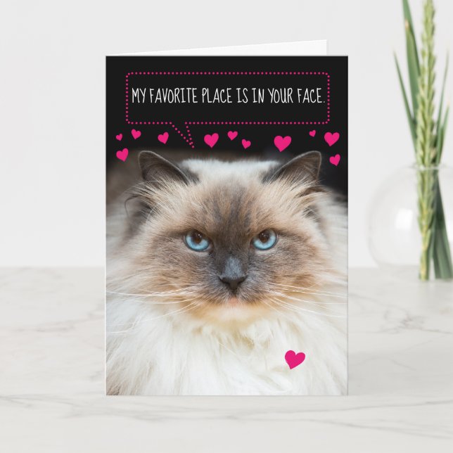 Niedlicher Valentinstag Siamkatze und Herz Karte (Vorderseite)