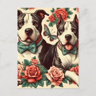 Niedlicher Vintager amerikanischer Pit Bull Terrie Postkarte