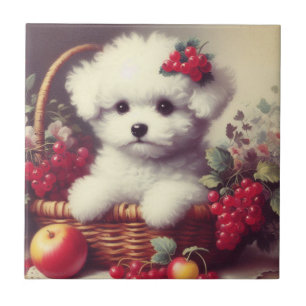 Niedlicher Vintager Bichon Frisé Malerei Fliese