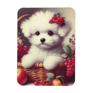 Niedlicher Vintager Bichon Frisé Malerei Magnet
