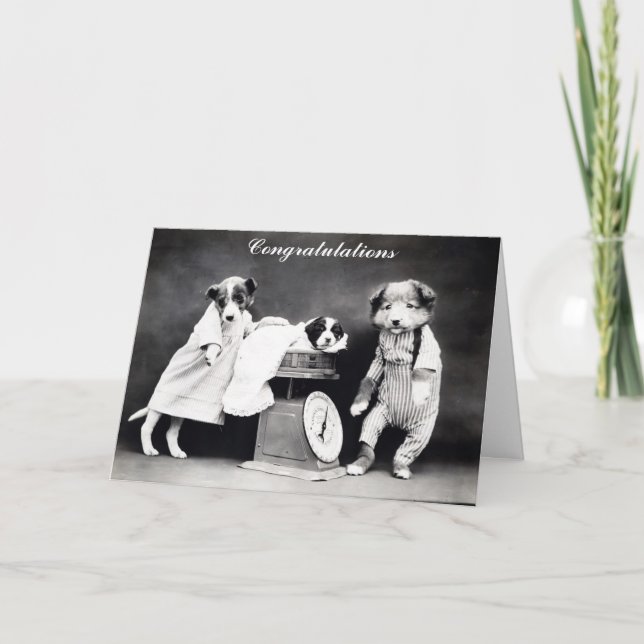 Niedlicher Vintager Hund Neue Babygratulation Karte (Vorderseite)