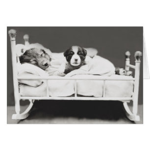 Niedlicher Vintager Schlafhund und Welpenkarte