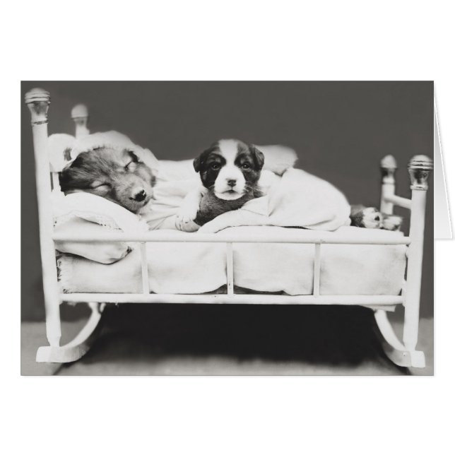 Niedlicher Vintager Schlafhund und Welpenkarte (Vorderseite (Horizontal))