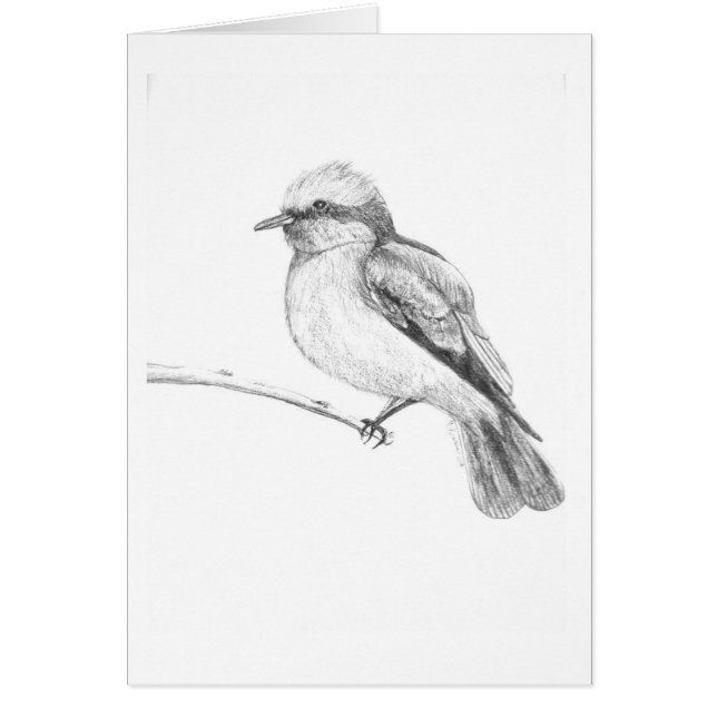 Niedlicher Vogel, der jeder Aufmerksamkeit fängt (Vorne)