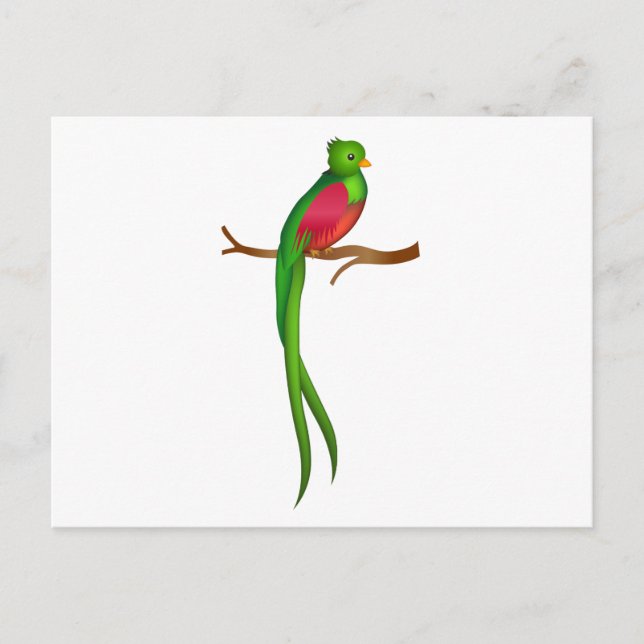 Niedlicher Vogel Quetzal Postkarte (Vorderseite)
