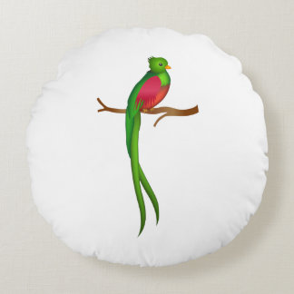 Niedlicher Vogel Quetzal Rundes Kissen