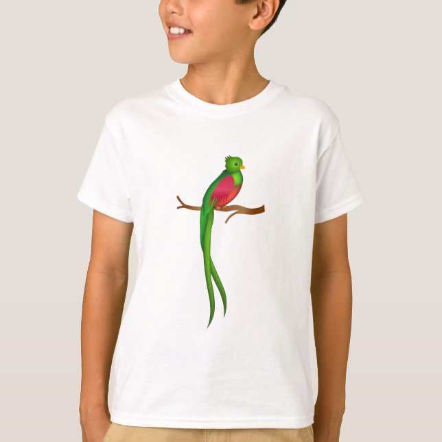 Niedlicher Vogel Quetzal T-Shirt (Vorderseite)