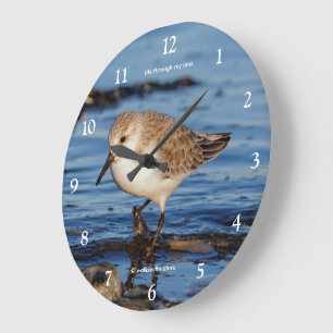 Niedlicher Wandersanderling Shorebird Sandpiper Große Wanduhr