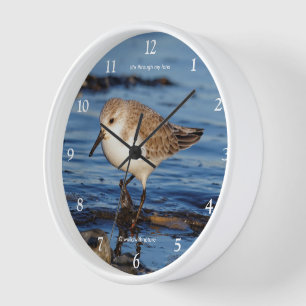 Niedlicher Wandersanderling Shorebird Sandpiper Wanduhr
