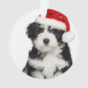 Niedlicher WeihnachtenHavanese Welpen-Hund 2 Ornament