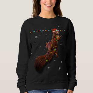 Niedlicher Weihnachtsbeleuchtung Weihnachtsbeleuch Sweatshirt