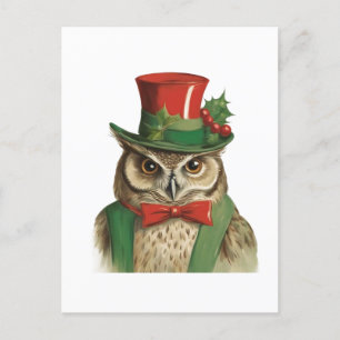 Niedlicher Weihnachtskauz Postkarte