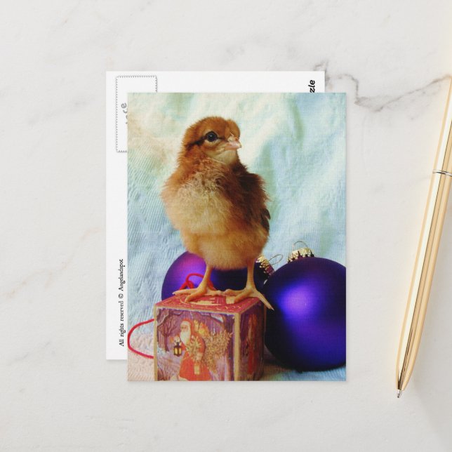 Niedlicher Weihnachtsküken Postkarte (Vorderseite/Rückseite Beispiel)