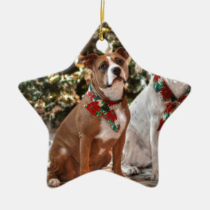 Niedlicher Weihnachtsrettungswagen und America Bul Keramik Ornament