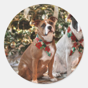 Niedlicher Weihnachtsrettungswagen und America Bul Runder Aufkleber