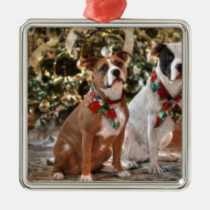 Niedlicher Weihnachtsrettungswagen und America Bul Silbernes Ornament