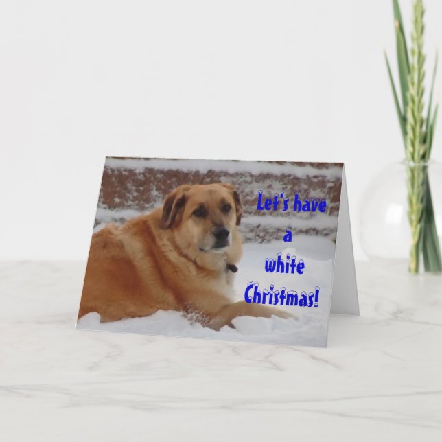 Niedlicher Weihnachtsschneegel Feiertagskarte (Vorderseite)