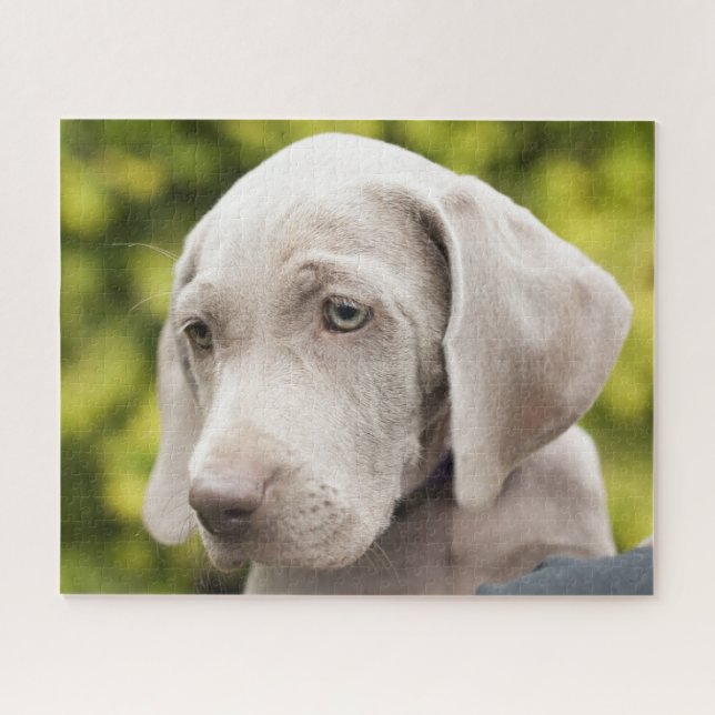 Niedlicher Weimaraner Welpenhund Puzzle (Horizontal)
