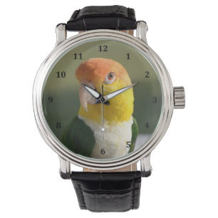 Niedlicher Weißer Blog Caique Parrot Armbanduhr