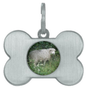 Niedlicher weißer Faulenzer Tiermarke