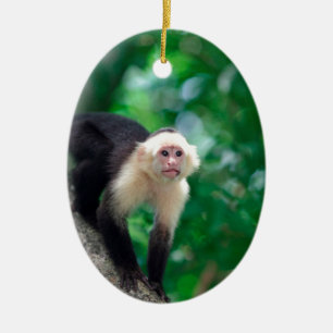 Niedlicher weißer Kapuzineraffe Nicaragua Keramik Ornament
