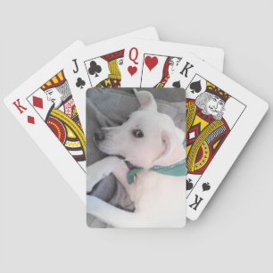 Niedlicher weißer Labrador Mix mit grünem Scarf Spielkarten